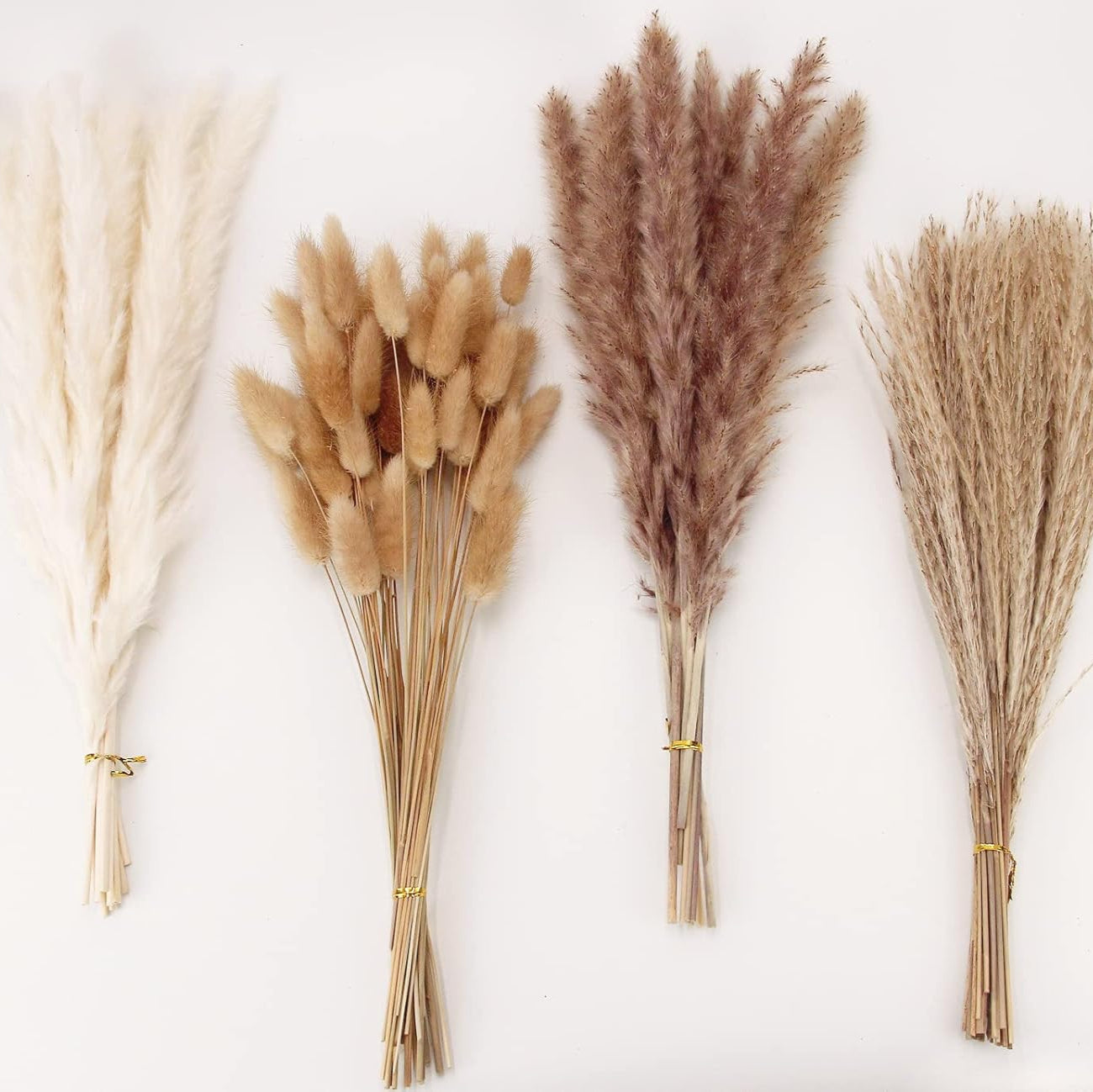 Dried Pampas Grass