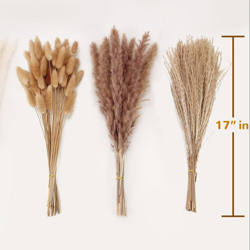 Dried Pampas Grass